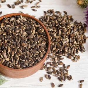 Proveedor de Semillas de Cardo Mariano a Granel |   Semilla de Silybum Marianum |   Materia Prima Herbal Seca Natural al por Mayor - Product Image 4