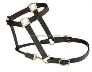 Licou de cheval en cuir de selle anglaise léger avec bride de conception personnalisée en cuir souple de couleur contrastée - Product Image 2