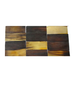 Plaque en corne de buffle de qualité supérieure, rectangulaire, rustique, décoration d'intérieur, artisanat naturel, durable, pour monture optique - Product Image 1