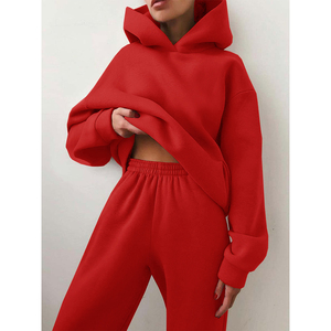 Ensemble de survêtement pour femme, bleu clair, à capuche, manches longues, couleur unie, vêtements décontractés, matière polaire, coupe ample, deux pièces - Product Image 6