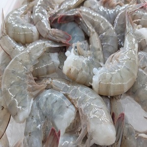 Crevettes blanches fraîches, sans tête, sans peau, emballage en vrac, taille 51/70, stockage réfrigéré, durée de conservation de 7 jours - Product Image 4