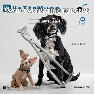 Juego de Instrumentos Quirúrgicos Ortopédicos Profesionales de Acero Inoxidable para Cirugía de Columna Vertebral, Mangos Plateados, Kit de Herramientas Quirúrgicas con Certificación CE - Product Image 3