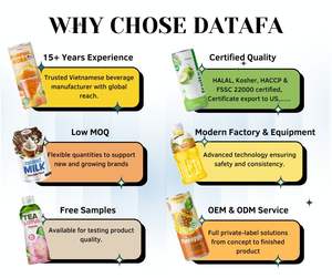Datafa 320ml Agua de Coco con Sabor a Matcha, Bebida Refrescante de Puré Natural de Vietnam, Venta al por Mayor - Product Image 6