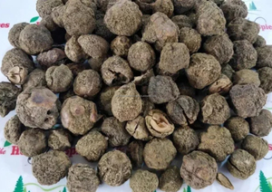 Poudre d'Amla entière séchée naturelle à 100% |   Poudre d'herbe de sureau indien de qualité alimentaire |   Fournisseur en gros - Product Image 3