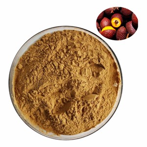 Poudre d'Aguaje 100% Pure OEM de Qualité Alimentaire Supérieure, Poudre de Fruit de Mauritia Flexuosa pour Smoothies, Mélanges Protéinés et Aliments Santé - Product Image 1