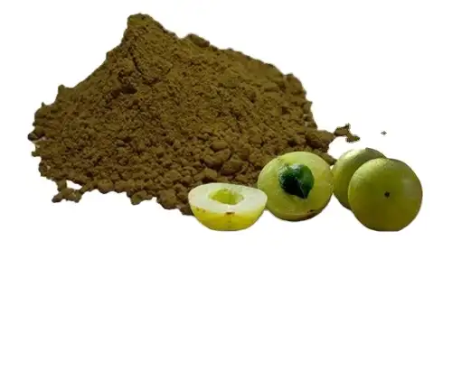 भारत से सबसे अच्छा गुणवत्ता आंवला फल पाउडर