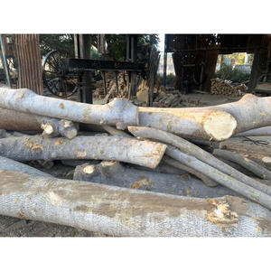 Troncos de Madera Blanda de Calidad de Exportación, Vigas Redondas para Construcción, Material de Madera Resistente, Ideal para Construcción e Industria - Product Image 1