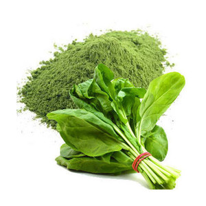 POLVO DE ESPINAC INSTANTÁNEO PRECIO AL POR MAYOR |   POLVO DE ESPINACIA LIOFILIZADA PARA SUPLEMENTO DIETÉTICO Y DE NUTRICIÓN - Product Image 4