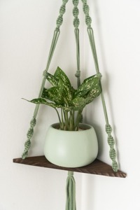 Artistic Green Macrame Wall Hanging Shelf With Wooden Base Showcase For Vases Dried Flowers And <b>Decorative</b> Pieces From India - Product Image 4