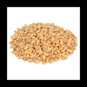 Granos de Trigo al Por Mayor Más Vendidos, Grado Alimenticio Premium, Suministro a Granel, Stock Disponible, Fabricante Exportador - Product Image 3