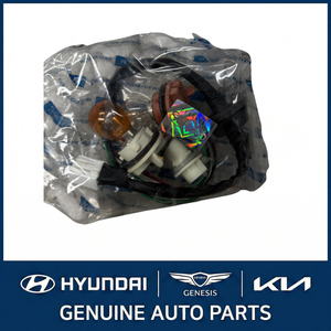 Nuevos arneses de cableado, cables y conectores Rio 924901G200 - Product Image 3
