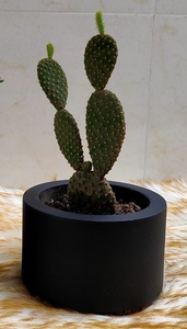 Pot de fleurs rond noir en bois, finition émaillée, classique, pour bureau, sol ou jardin - Product Image 3