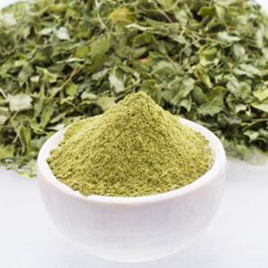 Polvo de Senna a Granel, Grado Alimenticio Puro, Proveedor de Polvo de Senna para Suplementos Herbales, Apoyo Digestivo y Productos de Bienestar Ayurvédico - Product Image 4