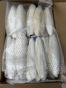 Hueso de Sepia Premium de 4-7 Pulgadas para Loros y Aves, Suplemento Natural de Calcio, Blanqueado, Venta al Por Mayor, Proveedor de Vietnam - Product Image 6