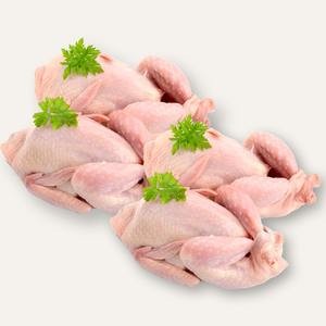 Pollo de Codorniz Congelado Halal de Alta Calidad a Precio Accesible, Listo para Exportación, Carne de Codorniz para Venta al por Mayor - Product Image 6