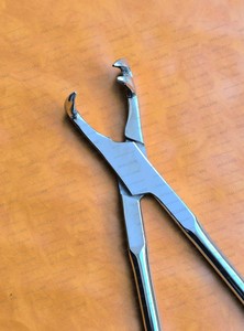 Pinzas de Extracción Dental Equina de 15 Pulgadas con Mandíbula Dentada de Acero Inoxidable, Instrumento Veterinario para Caballos y Ponis - Product Image 5