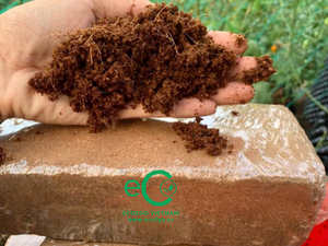 Eco2go เวียดนาม ขายส่งบล็อกพีทมะพร้าวคุณภาพสูง ราคาถูก สำหรับปลูกต้นไม้ - Product Image 3
