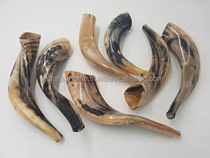 La mejor calidad Ram Horn Shofar Cuerno natural Shofar para soplar y propósito religioso Kosher Shofar Pulido Ram Sheep Horn - Product Image 5