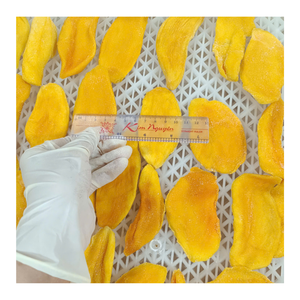 Rodajas de Mango Seco Suave de Vietnam, Fabricante Premium, Bocadillo Tropical Suave y Masticable, Sabor Natural, Suministro al por Mayor - Product Image 1