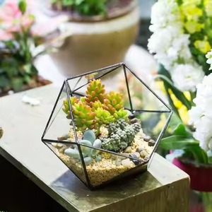 Classic Glass Metal Terrarium Planter Elegant Indoor Plant Display Box Geometric Home Decor - Product Image 1