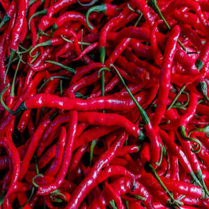 Piment rouge entier naturel d'Inde, marque FitTree International, durée de conservation de 24 mois, séché et cru pour applications alimentaires commerciales - Product Image 2