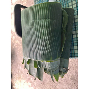 Fresh Banana <b>Leaves</b> from Vietnam | Eco-Friendly Food Wrapping for Cooking, Grilling & Traditional Dishes - Product Image 6