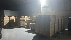 100% Tự Nhiên WS Dinh Dưỡng Ngon Tươi Hạt Điều Hạt Toàn Bộ Khô Hạt Bán Buôn Giá Rẻ Giá Đảm Bảo Chất Lượng Nguyên - Product Image 5