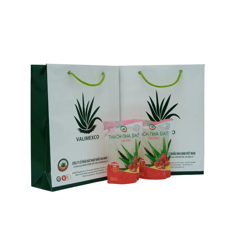 Propriedades curativas naturais que aproveitam os benefícios antioxidantes e anti-inflamatórios do Aloe Vera