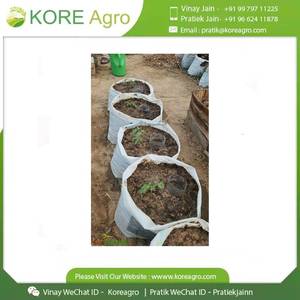Sacs de culture durables avec poignées pour légumes, herbes, fleurs, semis et jardinage en pot - Product Image 2