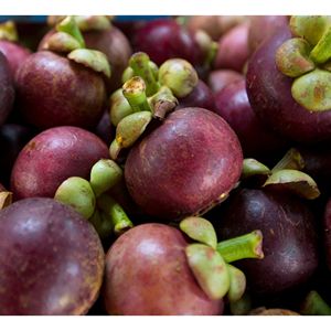 Mangostán Fresco de Primera Calidad de Vietnam para Importadores Mayoristas de Frutas a Nivel Global y Mercados Frescos - Product Image 2