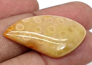 ปะการังธรรมชาติ31X18มม. Cabochon แฟนซี3.73 Gms อัญมณีหลวมสำหรับทำเครื่องประดับ - Product Image 3