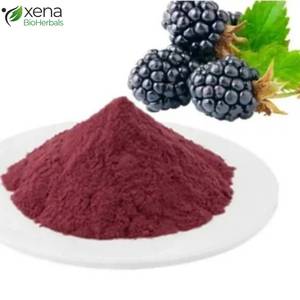 Exportador Directo de Extracto de Aceite de Fruta de Mora Soluble, Extracto Vegetal Premium, Suministro OEM - Product Image 3
