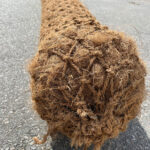 Rouleaux de géotextile en fibre de coco anti-UV, tissu non tissé renouvelable, matériau de paillage pour l'horticulture - Product Image 4