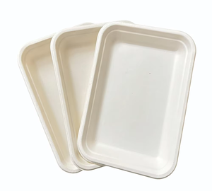 Vaisselle jetable écologique et compostable en bagasse de canne à sucre avec plateau, ensemble de service alimentaire biodégradable pour événements et traiteurs - Product Image 2