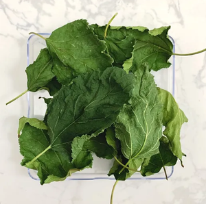 Meilleur prix Feuille de mûrier séchée naturelle de haute qualité-Purification du corps produits vietnamiens de haute qualité - Product Image 4