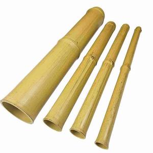 Vietnam Bamboo Pole Bamboo <b>Cane</b> for Greenhouse Plant Support Agriculture Nursery and <b>Garden</b> Supply Wholesale - Product Image 1
