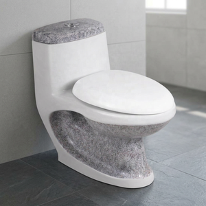 Inodoro de cerámica moderno de estilo occidental, de una pieza, alargado, montado en el suelo, con sifón, para baños exteriores. - Product Image 3