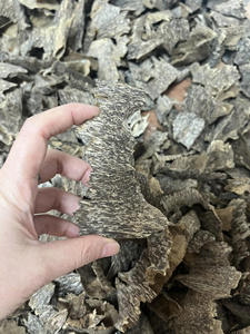 Bakhoor de Agarwood Cultivado Premium, Triple Calidad Superior, Fragancia Dulce, Resina Llena de Aceite, Lujo OWC1 Ha Tinh Aromatic - Product Image 2