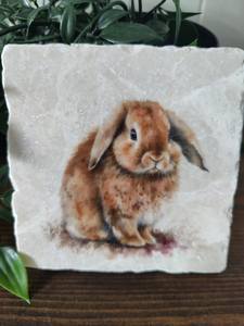 Posavasos de Conejo con Orejas Caídas, Decoración para Mesa de Cocina, Idea de Regalo Única - Product Image 3