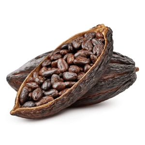 Fèves de cacao en gros, qualité supérieure, approvisionnement en vrac, stock disponible, distribution mondiale - Product Image 1