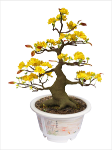 Maceta decorativa en forma de campana con base, maceta de plástico impresa personalizada - Product Image 4