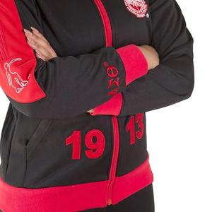 Fraternité sororité personnalisé écologique sweat à fermeture éclair respirant hiver échauffement veste de survêtement conception brodée en gros - Product Image 4