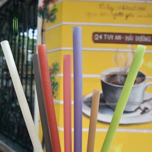 Pajitas de Arroz Ecológicas, Pajitas Sostenibles para Beber en Restaurantes, Cafeterías, Marcas de Bebidas y Suministros de Empaque Ecológico - Product Image 6