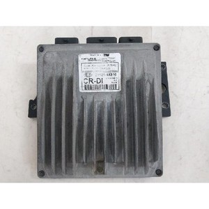 ECUs y Módulos de Computación Usados de Carnival 391014X810 - Product Image 1