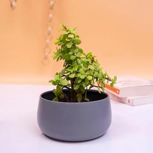 Pot de fleurs en métal durable, jardinière décorative, pot de plantes d'intérieur et d'extérieur pour jardin, balcon, terrasse, décoration de la maison - Product Image 2