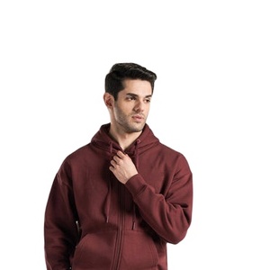 Sweat-shirt à capuche épais pour homme, 500 GSM, en molleton de coton, pour l'hiver, personnalisable, fournisseur OEM, marque privée - Product Image 4