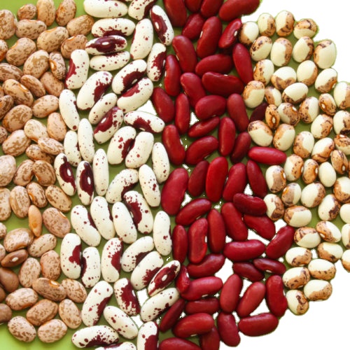 7 цветов бобы Тип продукты в форме жизни соль место ингредиенты годы сироп процесс сохранения Brine Kunyu