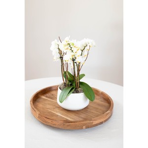 จานหมุนไม้ทำมือลายดอกไม้พร้อมชามกลางลายพืชวินเทจ ดีไซน์เพ้นท์มือ - Product Image 2