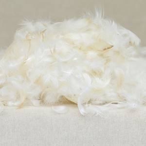 Plumas de Pato Teñidas de Calidad de Exportación B2B para Textiles del Hogar, Prendas de Vestir, Industrias del Juguete, Plumas Ligeras para Manualidades y Moda - Product Image 4