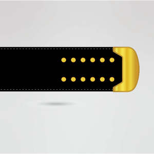 Ceinture de championnat de lutte personnalisée, quatre plaques latérales, plaque centrale dorée, plaques de qualité supérieure de 4 mm d'épaisseur - Design de logo personnalisé Aigle - Product Image 5
